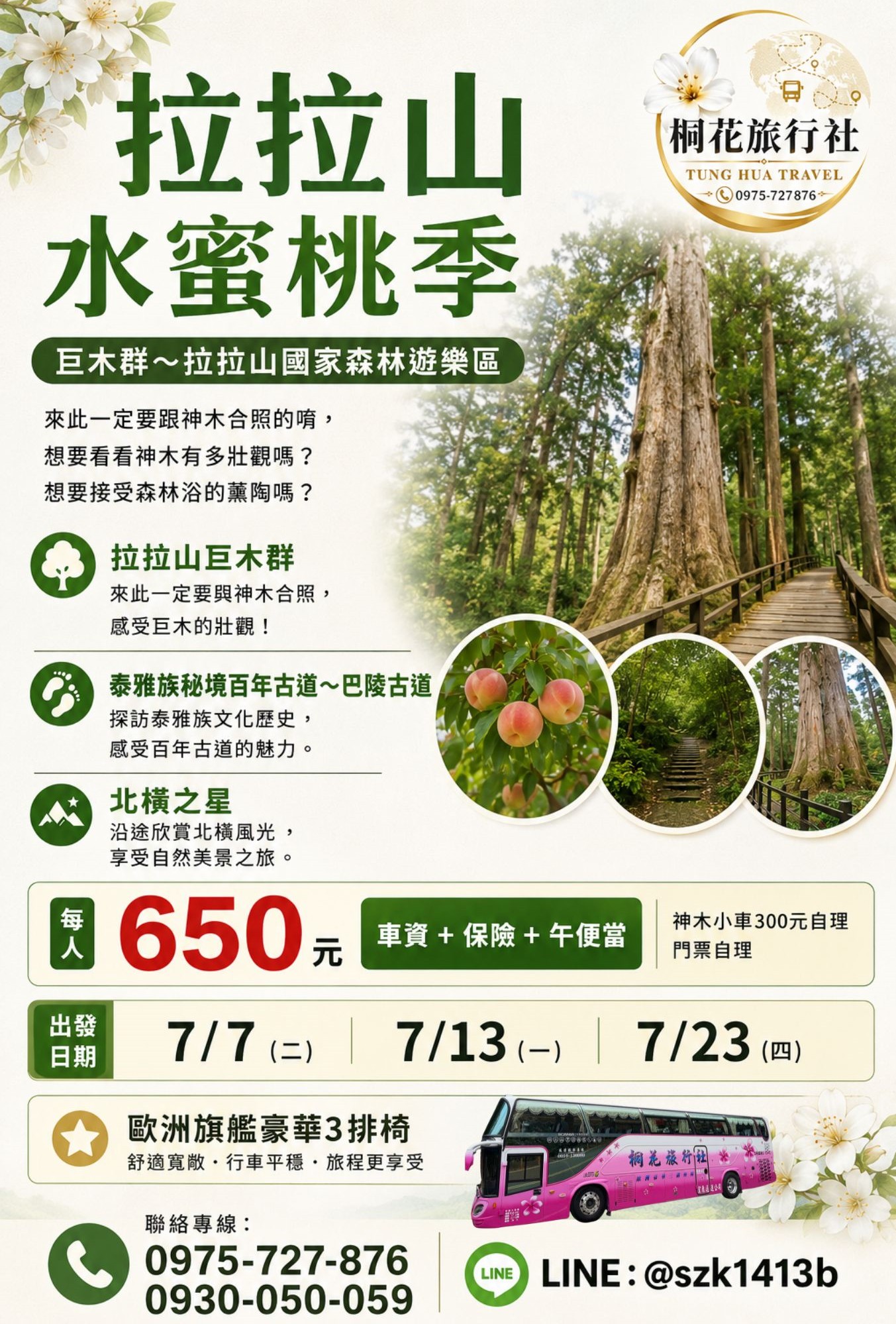C：【三排椅】拉拉山水蜜桃季~巨木群~拉拉山國家森林遊樂區(來此一定要跟神木合照的唷，想要看看神 木有多壯觀嗎?想要接受森林浴的薰陶嗎)。泰雅族秘境百年古道〜巴陵古道。北橫之星。車資＋保險＋午便 當＝650元(神木小車300元自理.門票自理)