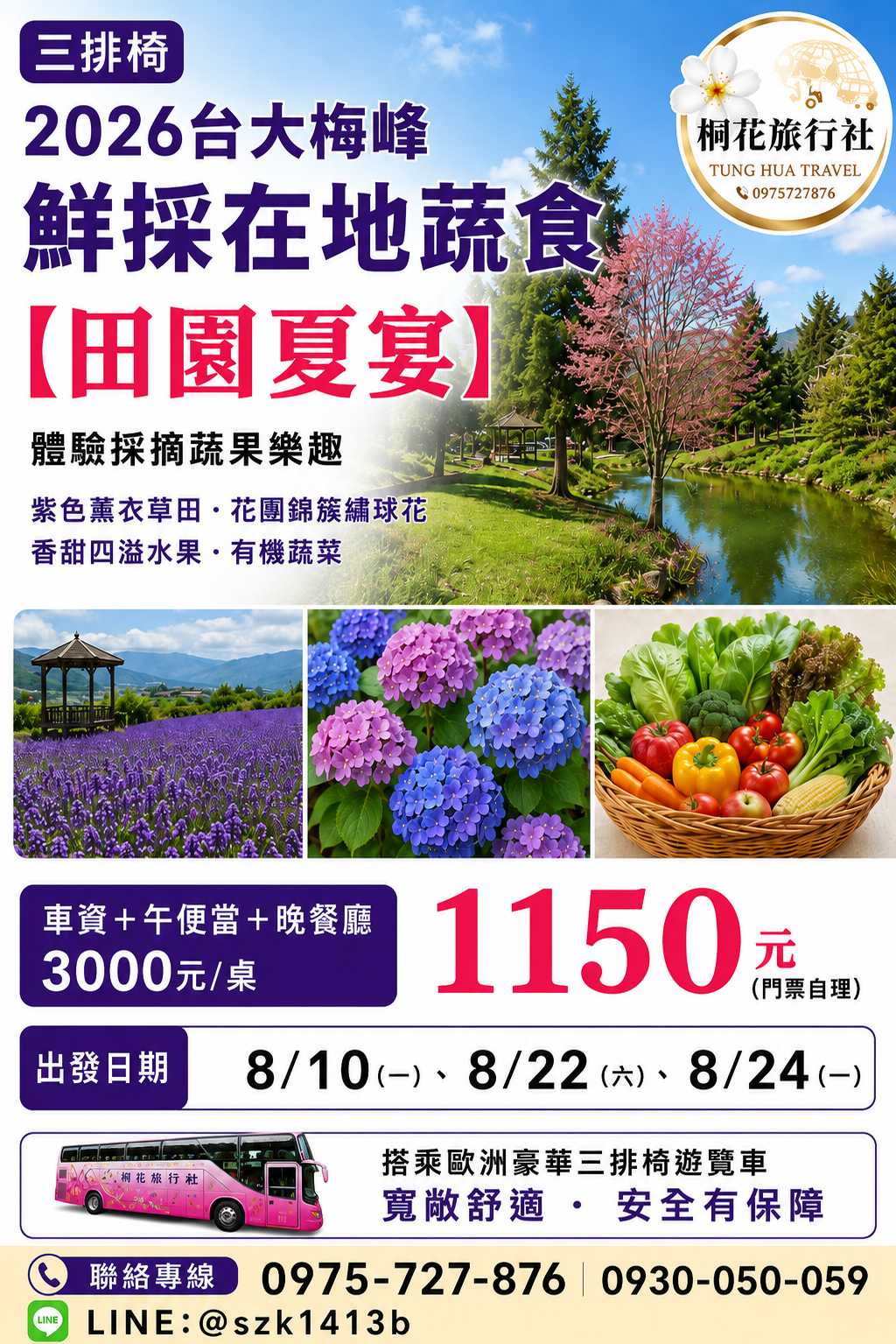 B：【三排椅】2026台大梅峰鮮採在地蔬食~【田園夏宴】呼吸高山沁涼空氣，體驗採摘蔬果樂趣。內有浪漫紫色薰衣草田.花團錦簇繡球花、香甜四溢水果生機蔬菜。車資＋午便當＋晚餐廳3000元/桌＝1150元（門票自理）