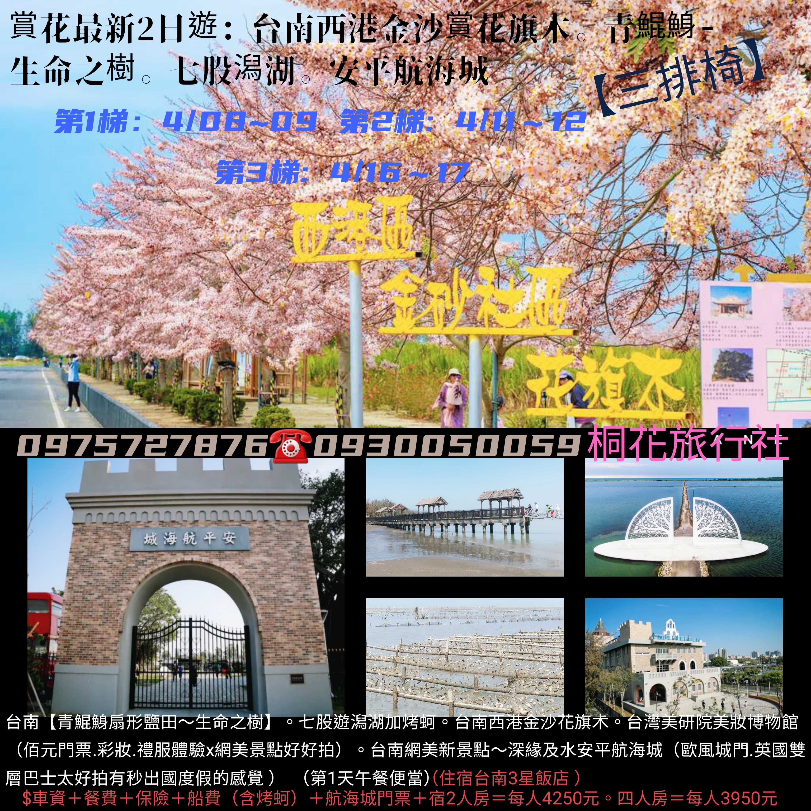 E:【三排椅】賞花最新2日遊第3梯: 4 / 16～4 / 17（三四）台南西港金沙賞花旗木。青鯤鯓-生命之樹。七股潟湖。安平航海城