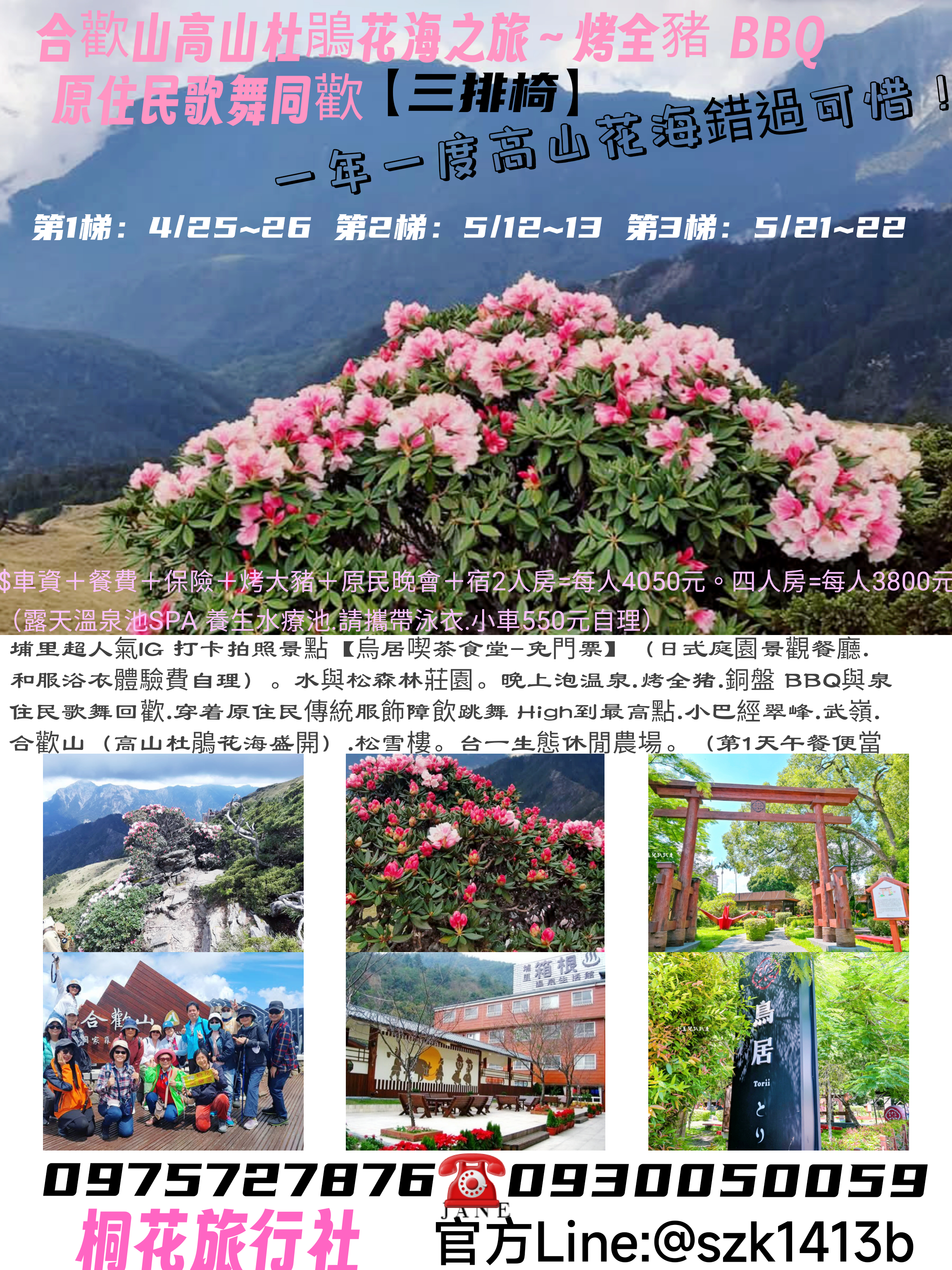E:【三排椅】2日遊第3梯：5 / 21~5 / 22（三四） ：合歡山高山杜鵑花海之旅.烤全豬 BBQ 原住民歌舞同歡（一年一度高山花海錯過可惜！美！美！美！）